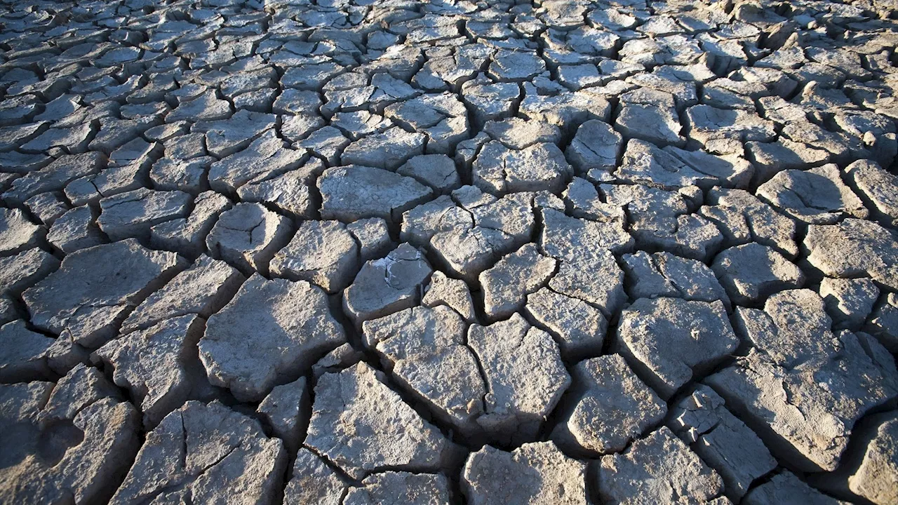 España: El complejo engranaje de la emergencia climática se acelera