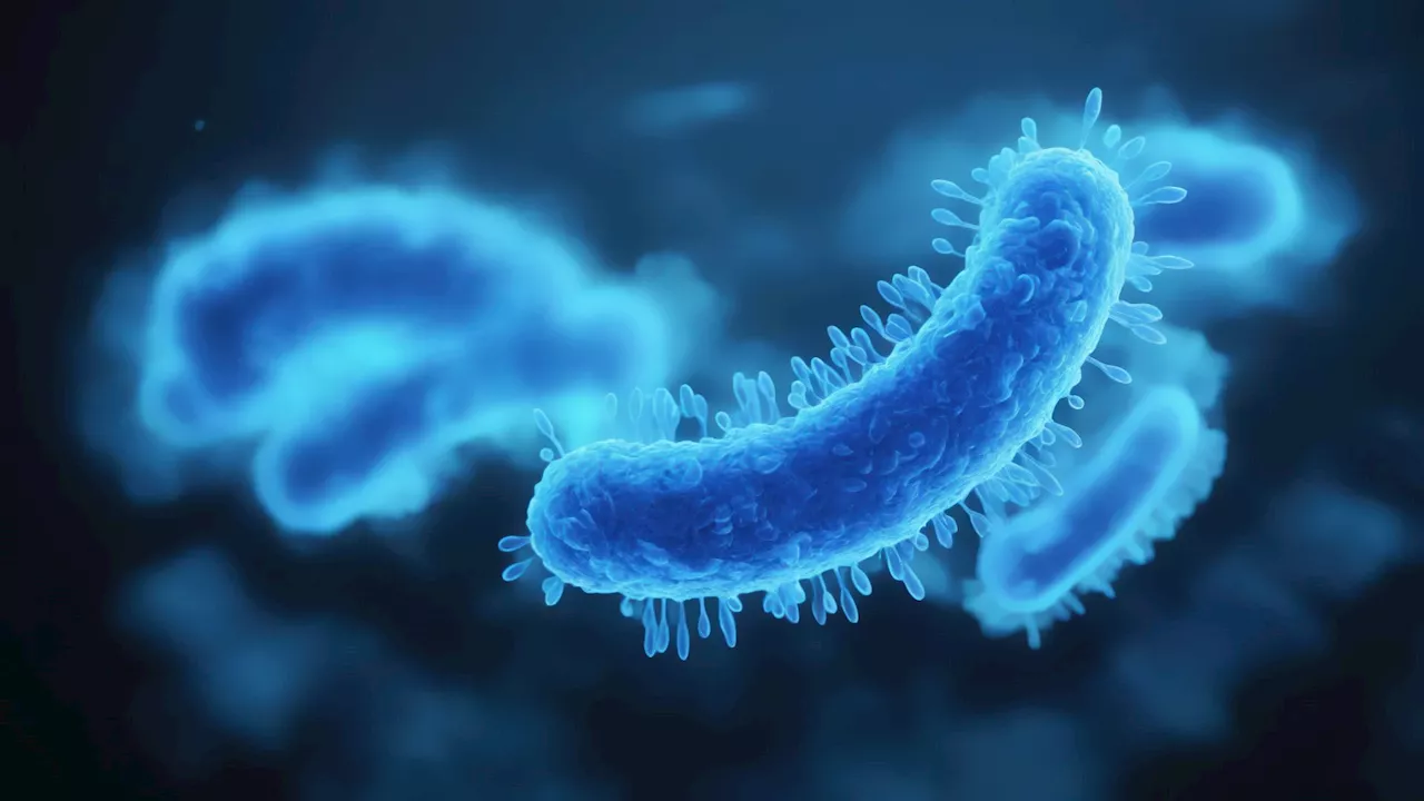 Killing drug-resistant infections: Scientists identify ‘Achilles heel’ of superbugs