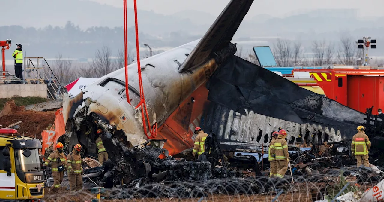 Jeju Air Plane Crashes in South Korea, Killing 179