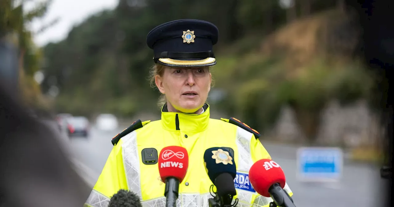 Stay at the Scene, 'People Make Mistakes': Garda Roads Policing Chief Urges Drivers