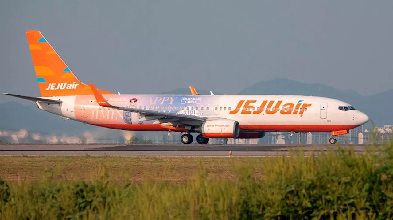 Аварийная посадка Boeing Jeju Air после катастрофы в Южной Корее