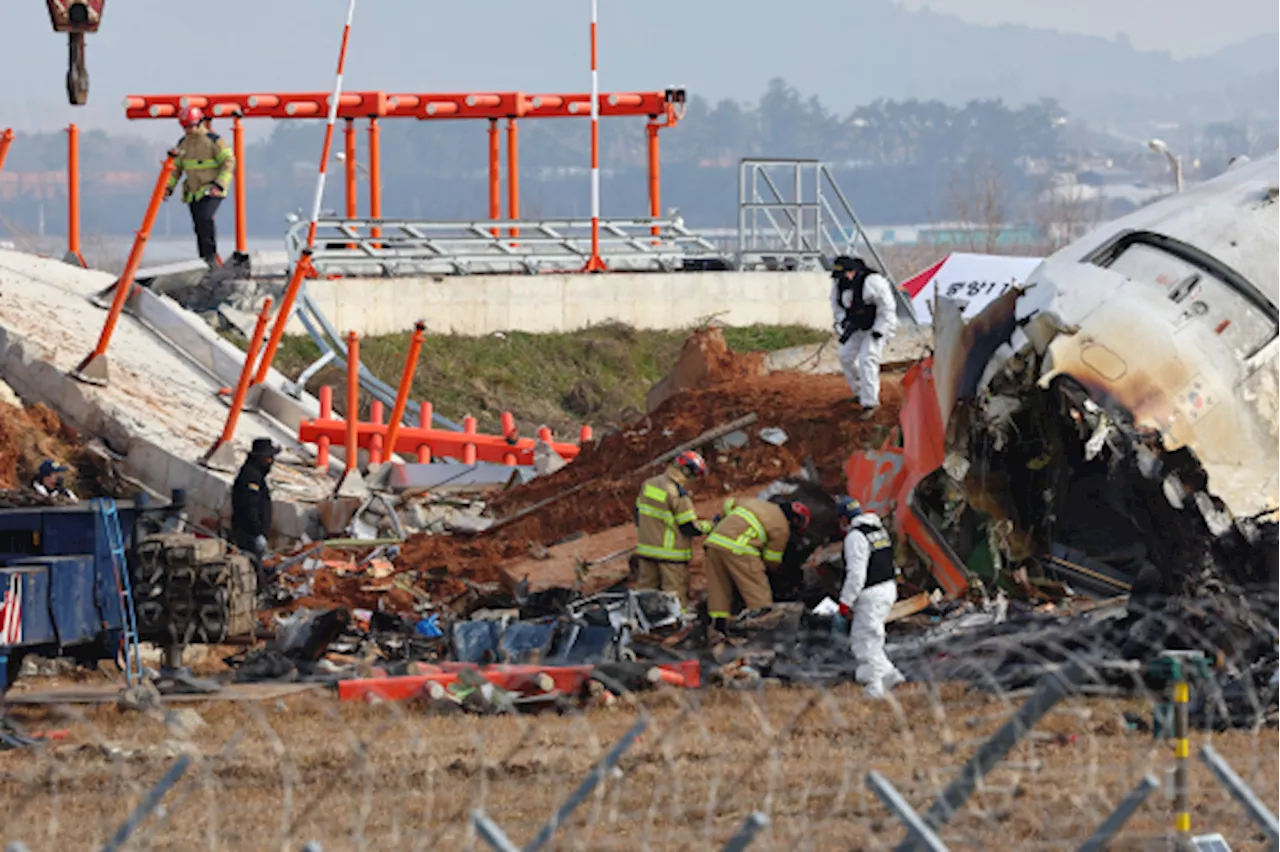 무안공항 둔덕 설치, 사고와 연관성 주장