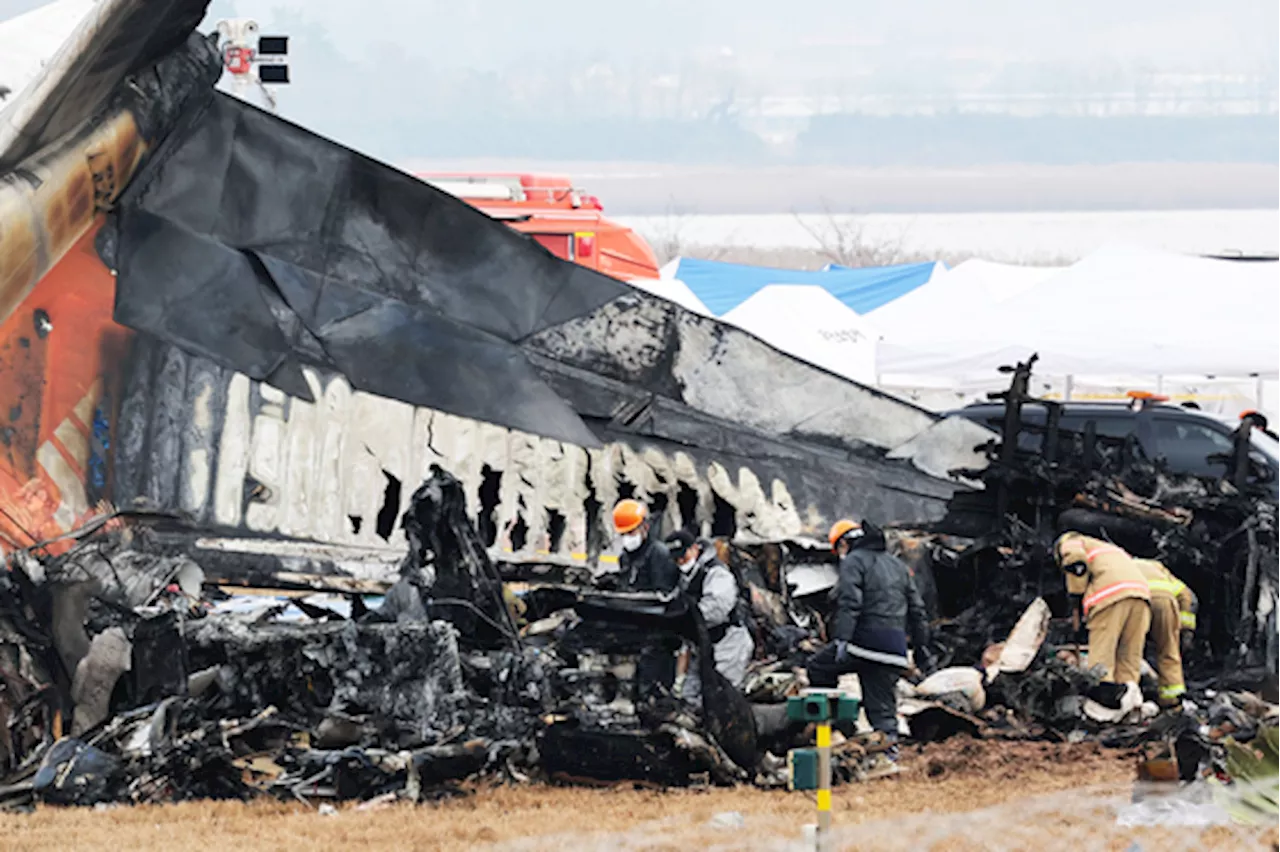 무안공항 제주항공 참사, 국토부 B737-800 전수 조사