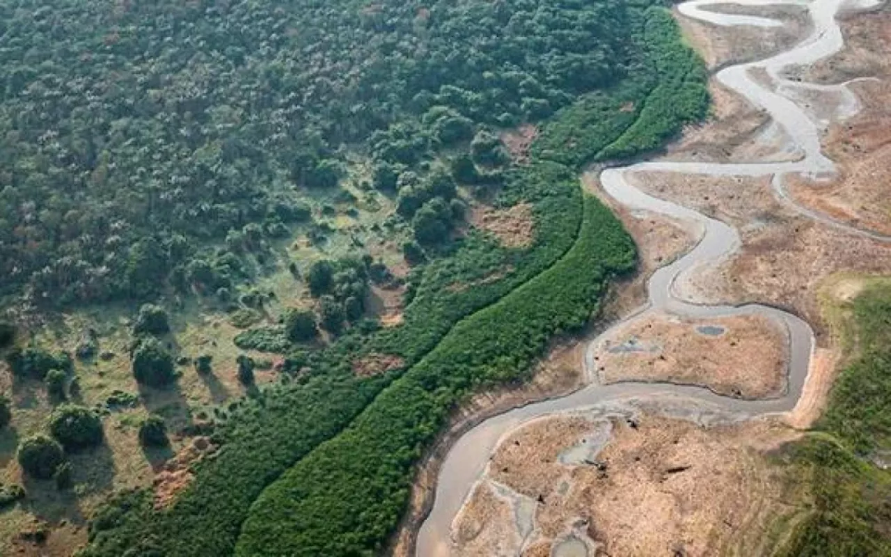 2024: Ano Mais Quente Já Registrado, ONU Alerta para 'Colapso Climático'