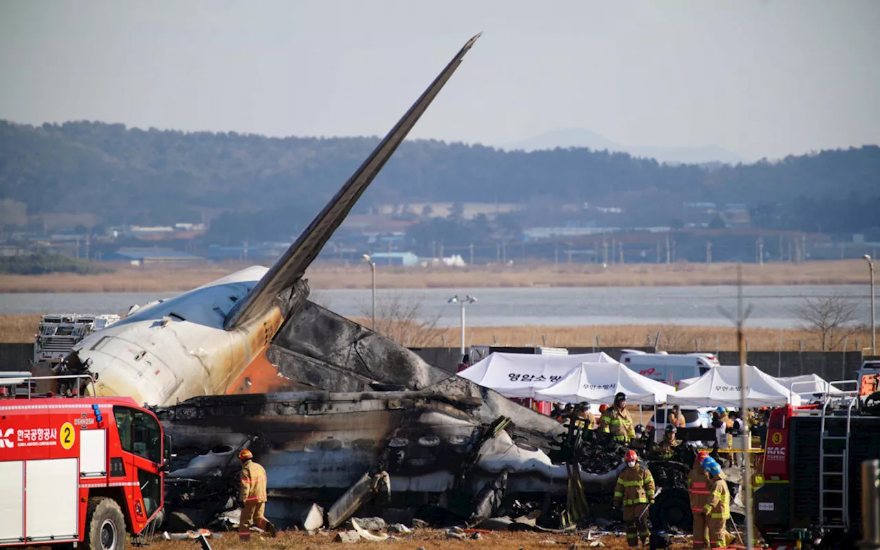 Sobrevivente do acidente aéreo na Coreia do Sul está consciente e falando, diz hospital