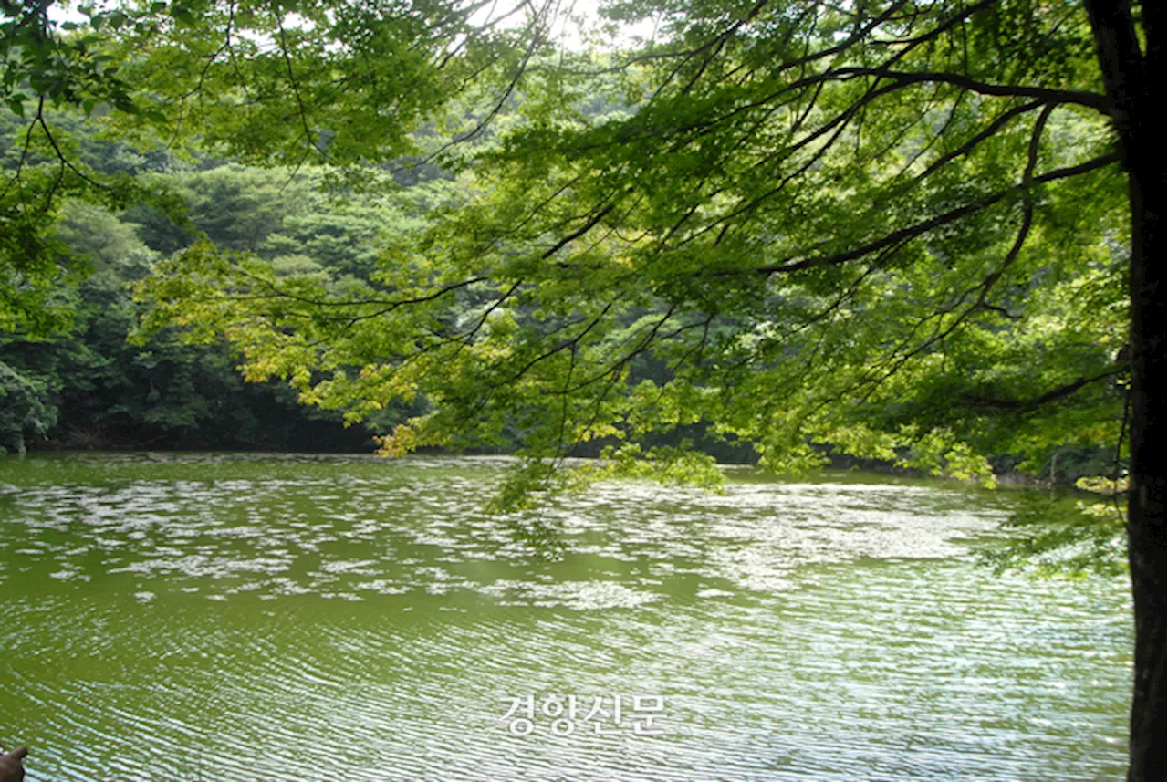 제주 4개 오름, 내년에도 탐방 제한