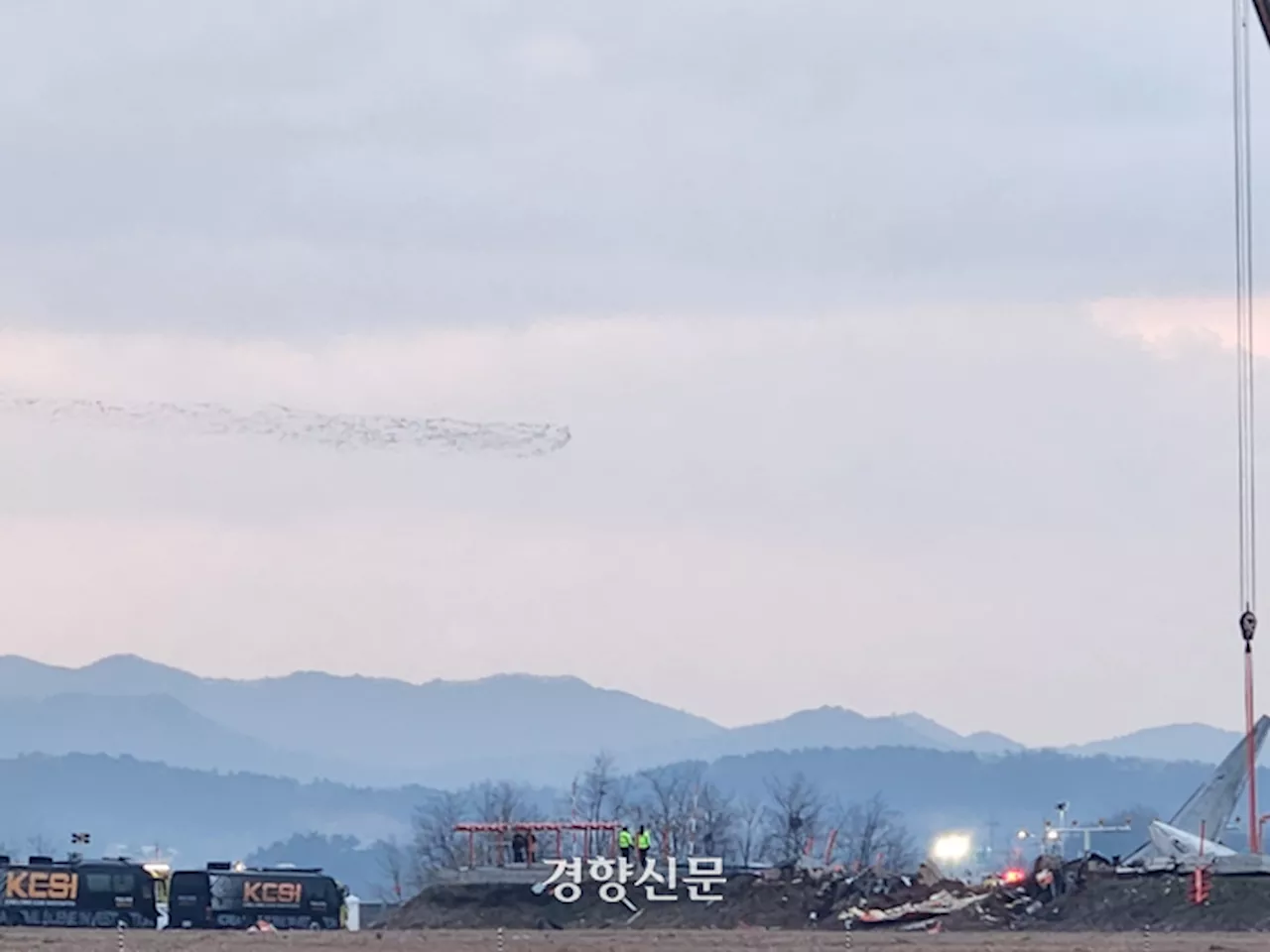 제주공항 여객기 참사, 무안공항 가창오리 떼 이동 경로와 맞닿아