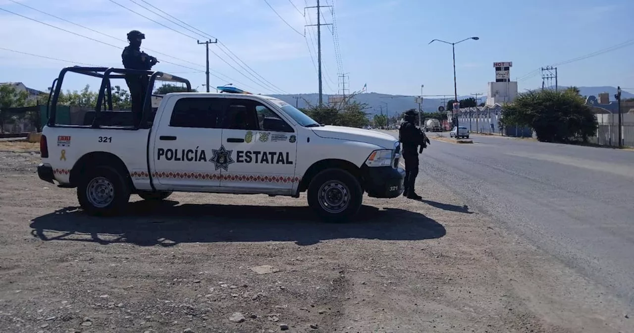 Guerrero cierra 2024 con baja significativa en delitos; homicidios dolosos disminuyen en noviembre