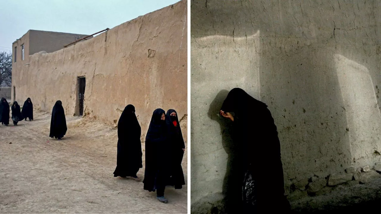 Taliban Orders Construction of Homes Without Windows Facing Women's Spaces