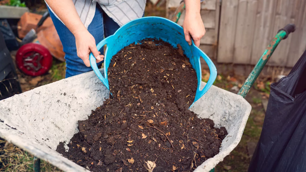 Comment Tamiser Son Compost