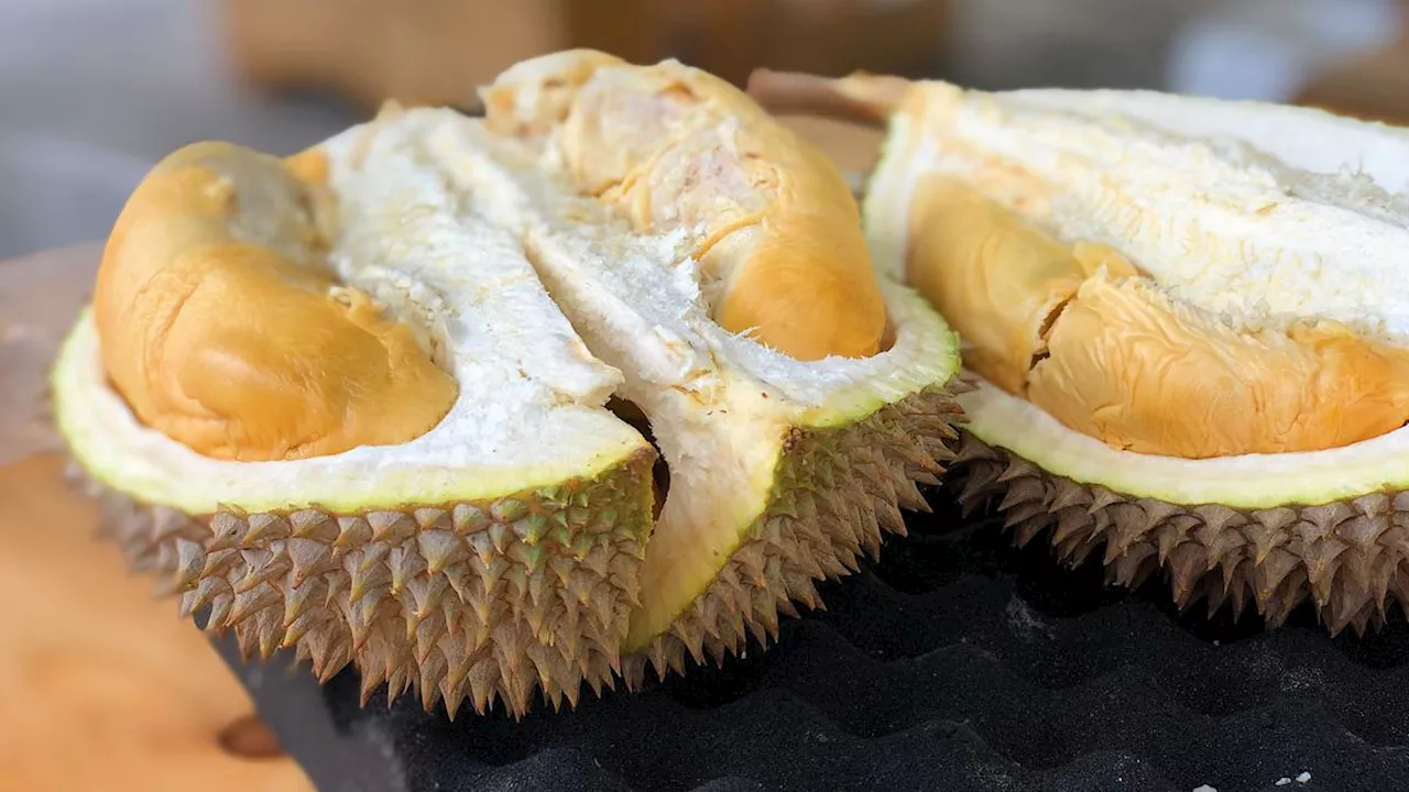 Manfaat Kesehatan Durian: Raja Buah yang Kontroversial