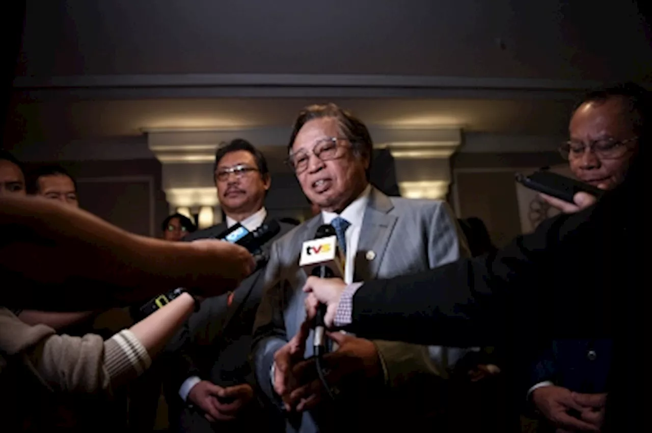 Sarawak Focuses on Green Economy, Not REE Mining