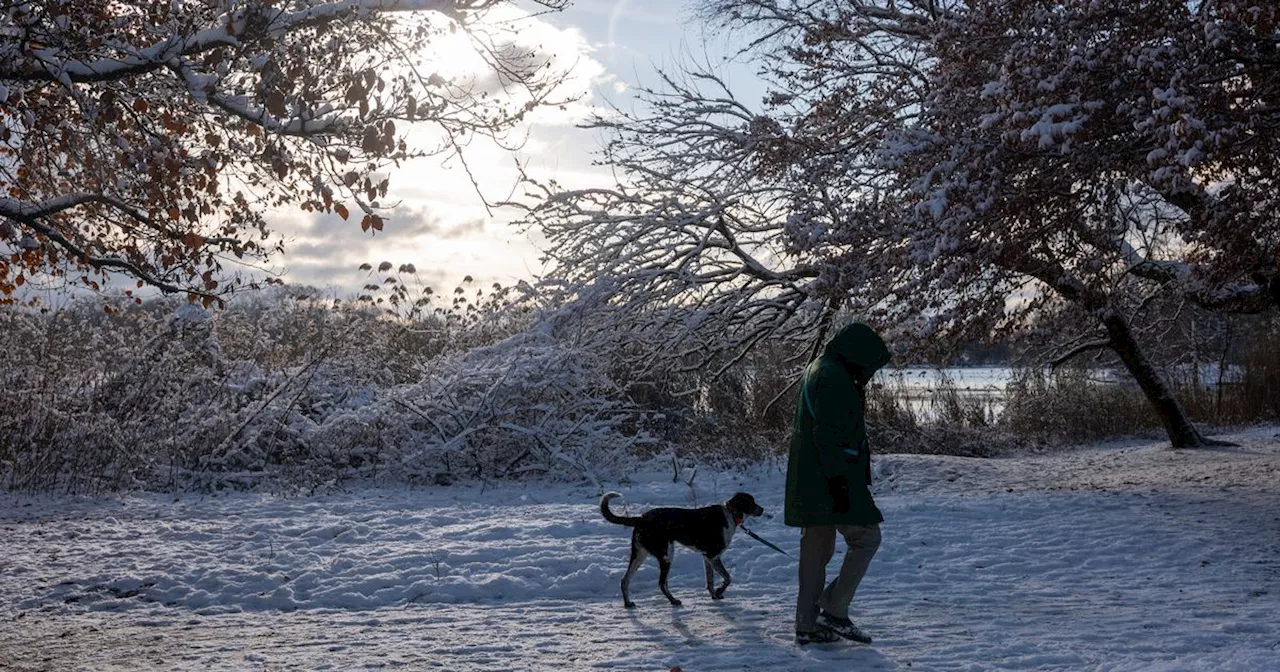 Cold Health Alert Issued for UK