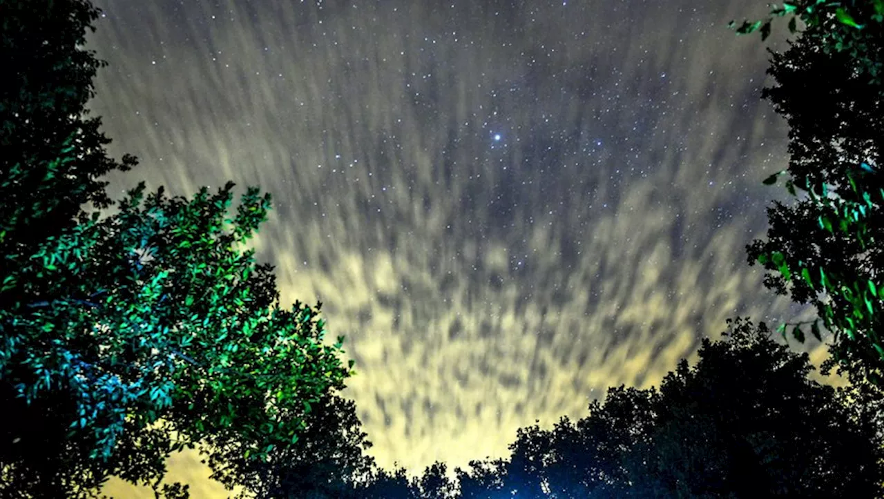 Soirée Astronomie en Aubrac Spécial Hiver, Trèfle Lozérien et Autres Actualités