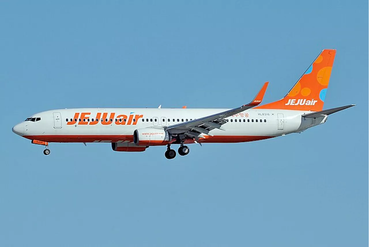 Jeju Air Flight Cancellations Surge After Deadly Crash