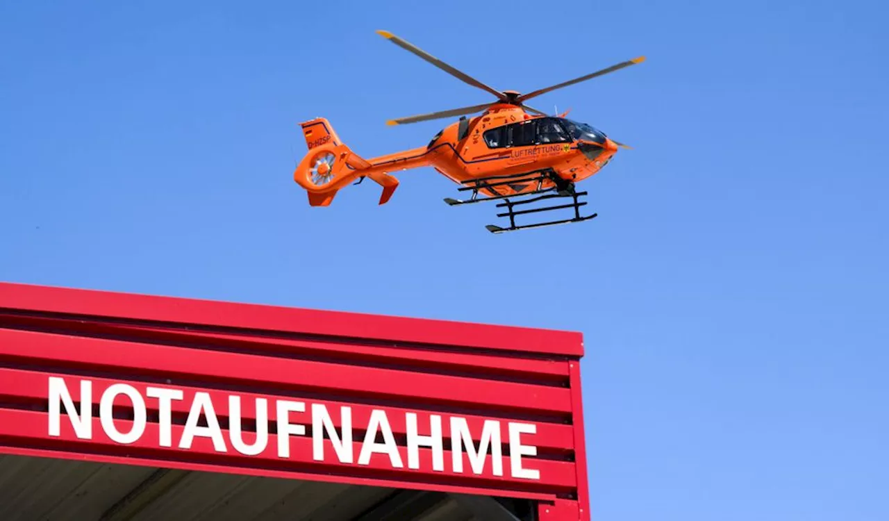 Tragischer Unfall in der Wolfsschlucht: Fünfjährige stirbt nach Sturz eines Baumstumpfes