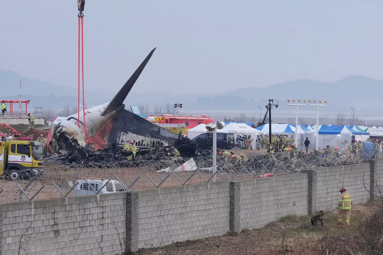 Passagierflugzeug in Südkorea verunglückt