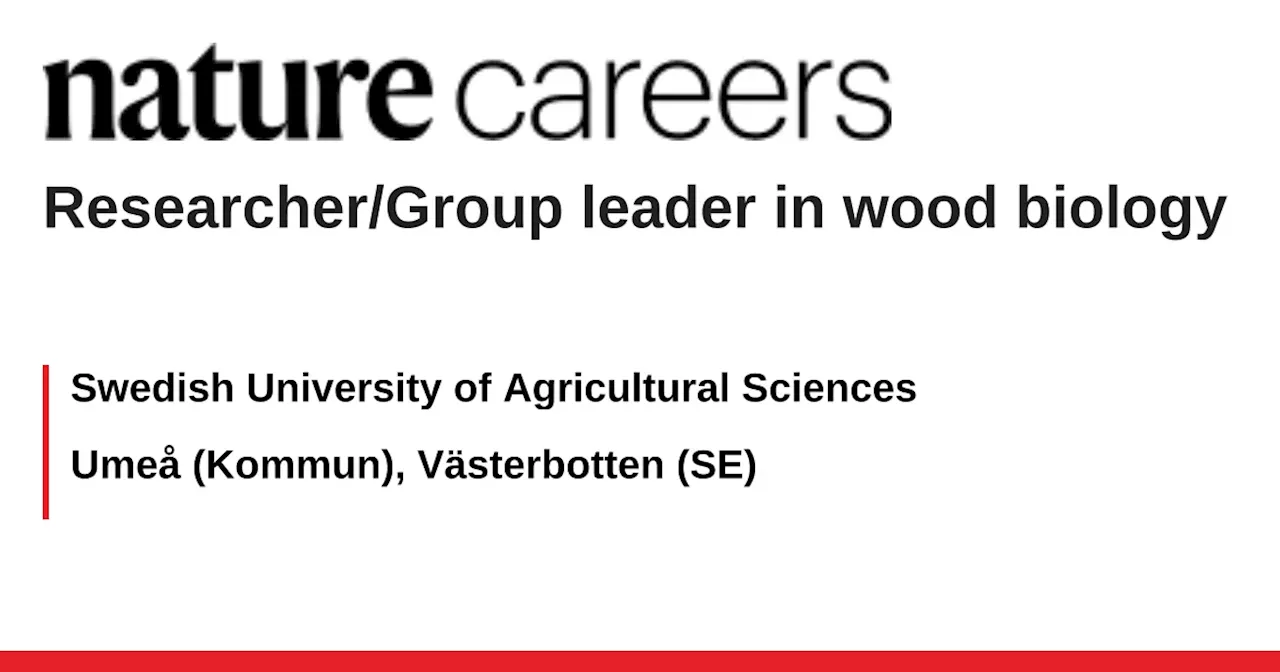 Group Leader (Principal Investigator) in Wood Biology at Umeå Plant Science Centre