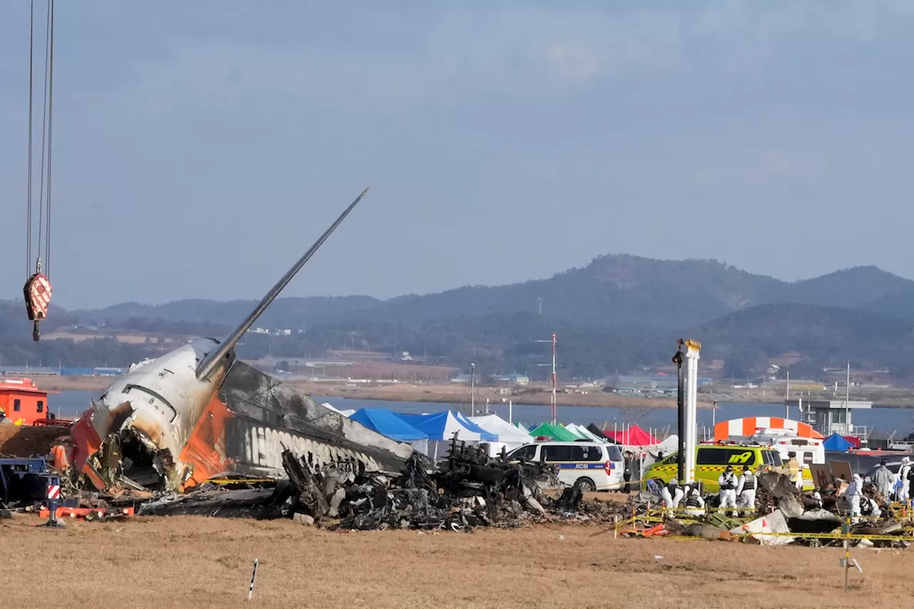 South Korea to Inspect Boeing 737-800s After Jeju Air Crash