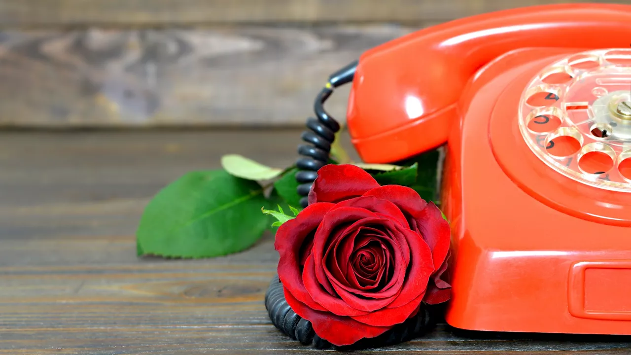 Free Hotline Answers All Your Rose Parade and Rose Bowl Questions