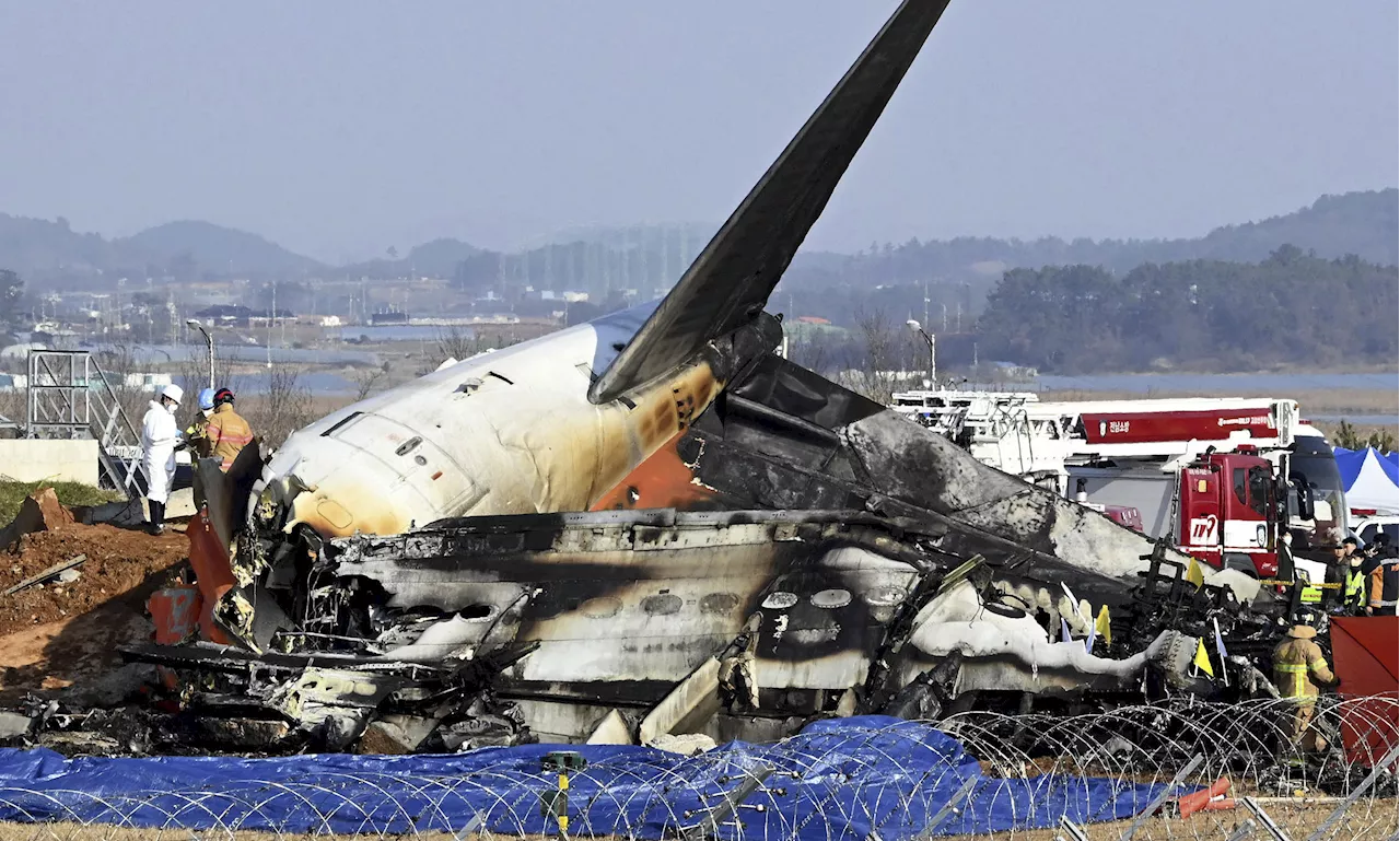 South Korea to Inspect All Boeing 737-800s After Deadly Crash