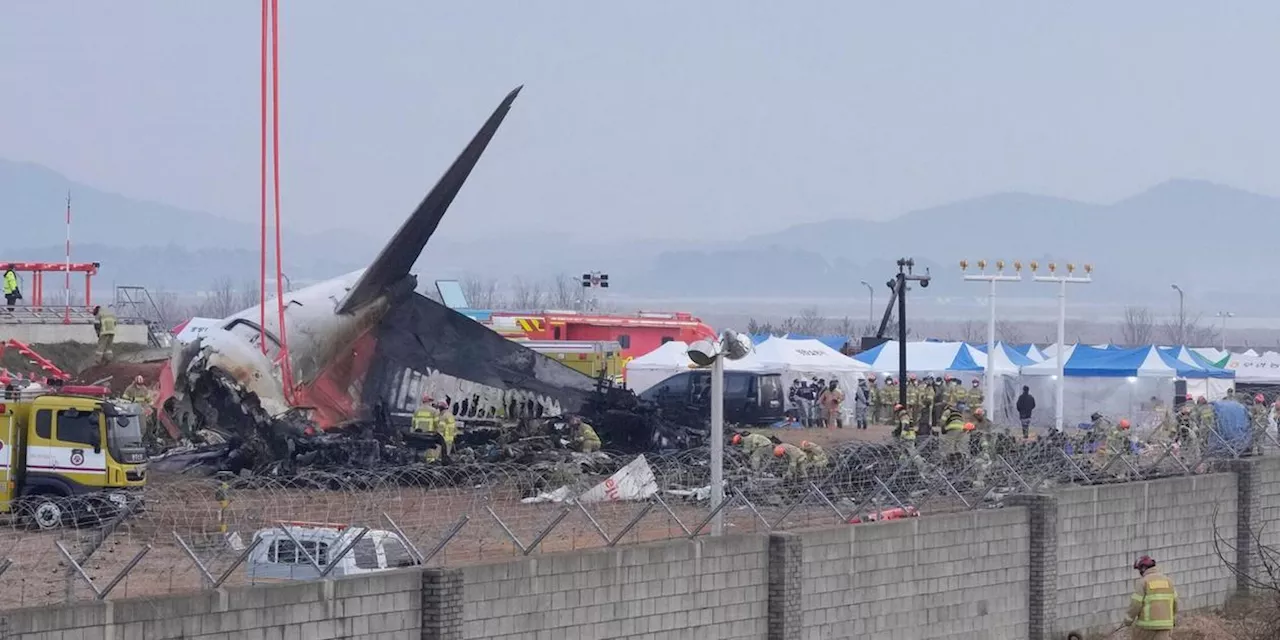 Todes-Flugzeug-Unglück in Südkorea - Ermittler suchen nach Ursache