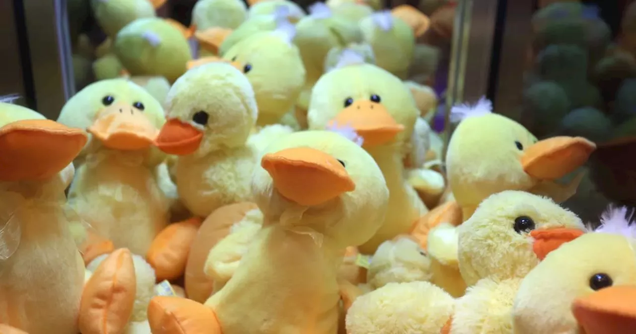 Hacker Reveals 3 Claw Machine Tricks to Guarantee a Win