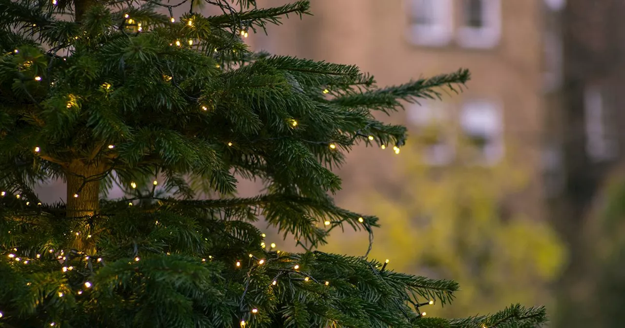 When to Take Down Christmas Decorations: Experts Weigh In