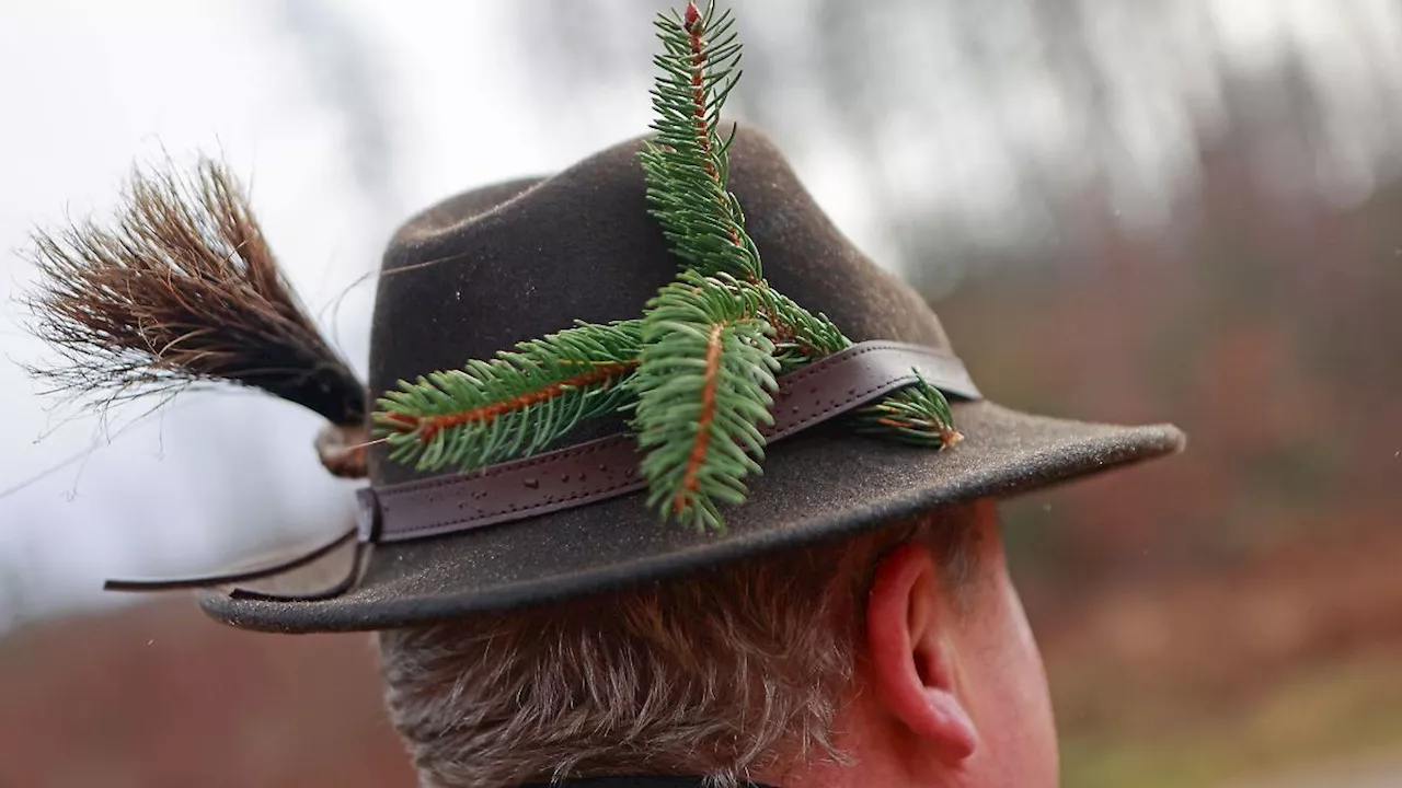 Niedersachsen & Bremen: Grüne werfen Jagdpräsidenten Stimmungsmache vor