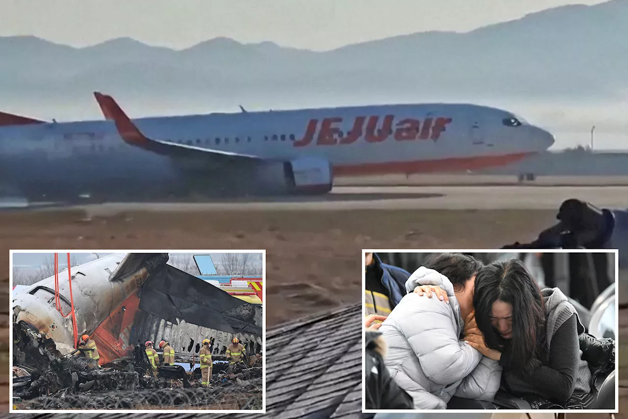 Jeju Air Flight Returns to Seoul After Landing Gear Malfunction