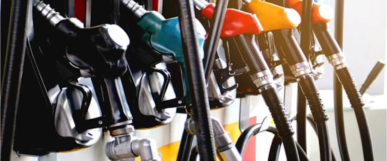 Gasoline Prices Expected to Fall in 2025