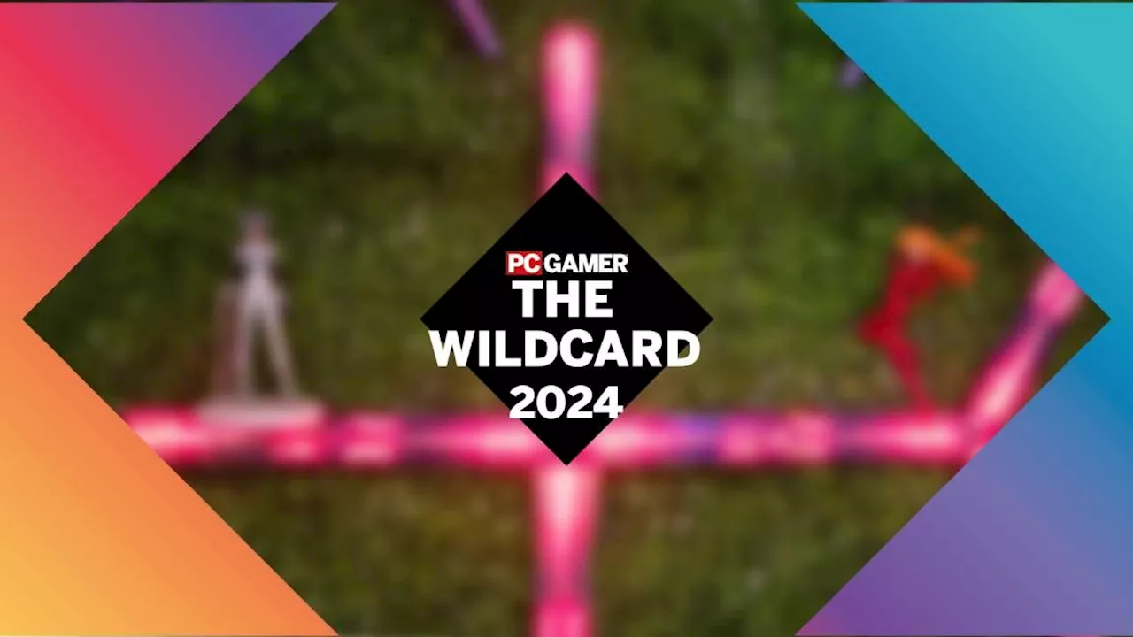 Wildcard Hardware Winners of 2024