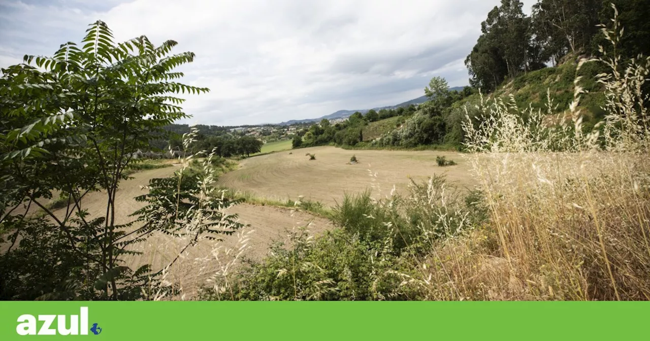 Governo Portugal Permite Construção em Terrenos Rústicos para Abordar Crise Habitacional