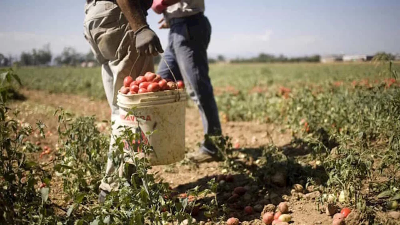 Sfruttamento Lavoratori e Irregolarità in Diciotto Aziende su 29 Controllate