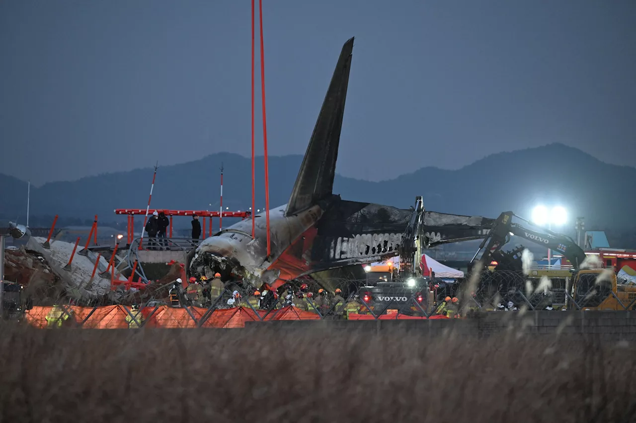 Crash d'un avion en Corée du Sud : les différentes pistes pour expliquer l'accident