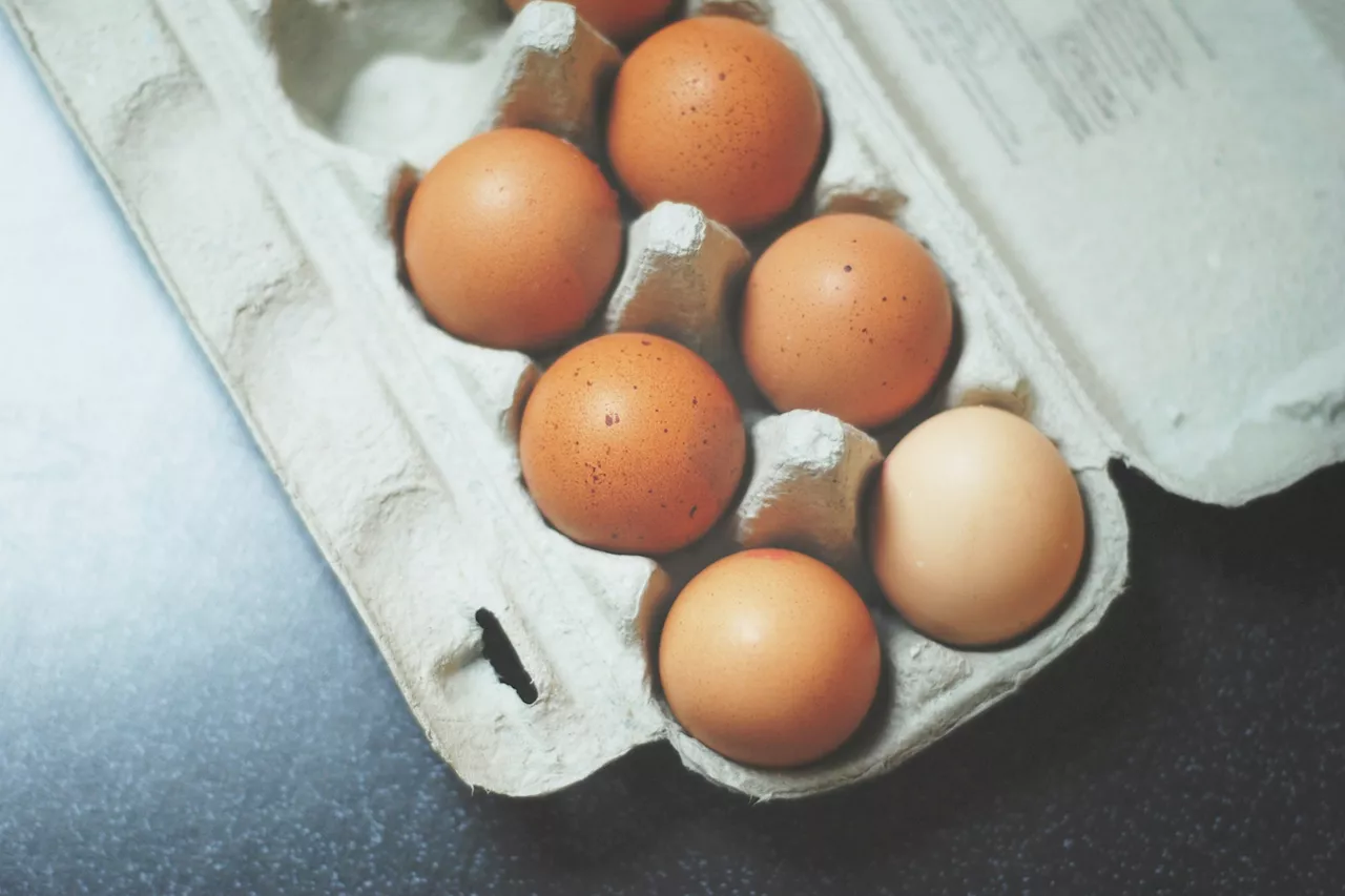 Les Oeufs: Superaliment, Source de Proteines et...Cholestérol