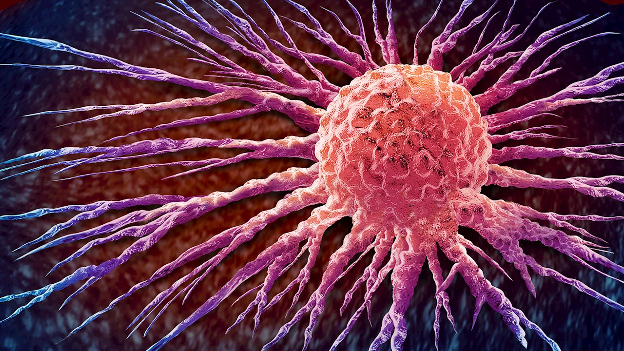 Cholesterol Gene Linked to Breast Cancer Spread, Antibody Shows Promise