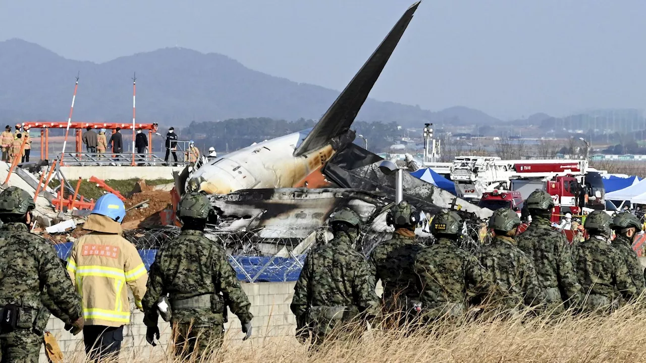 South Korea Plane Crash: Bird Strike Reported Minutes Before Mayday