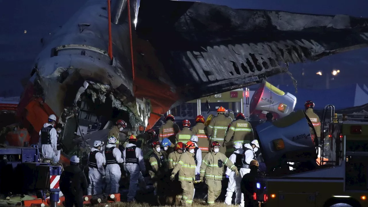 Experts Question Bird Strike Theory in Deadly South Korean Plane Crash