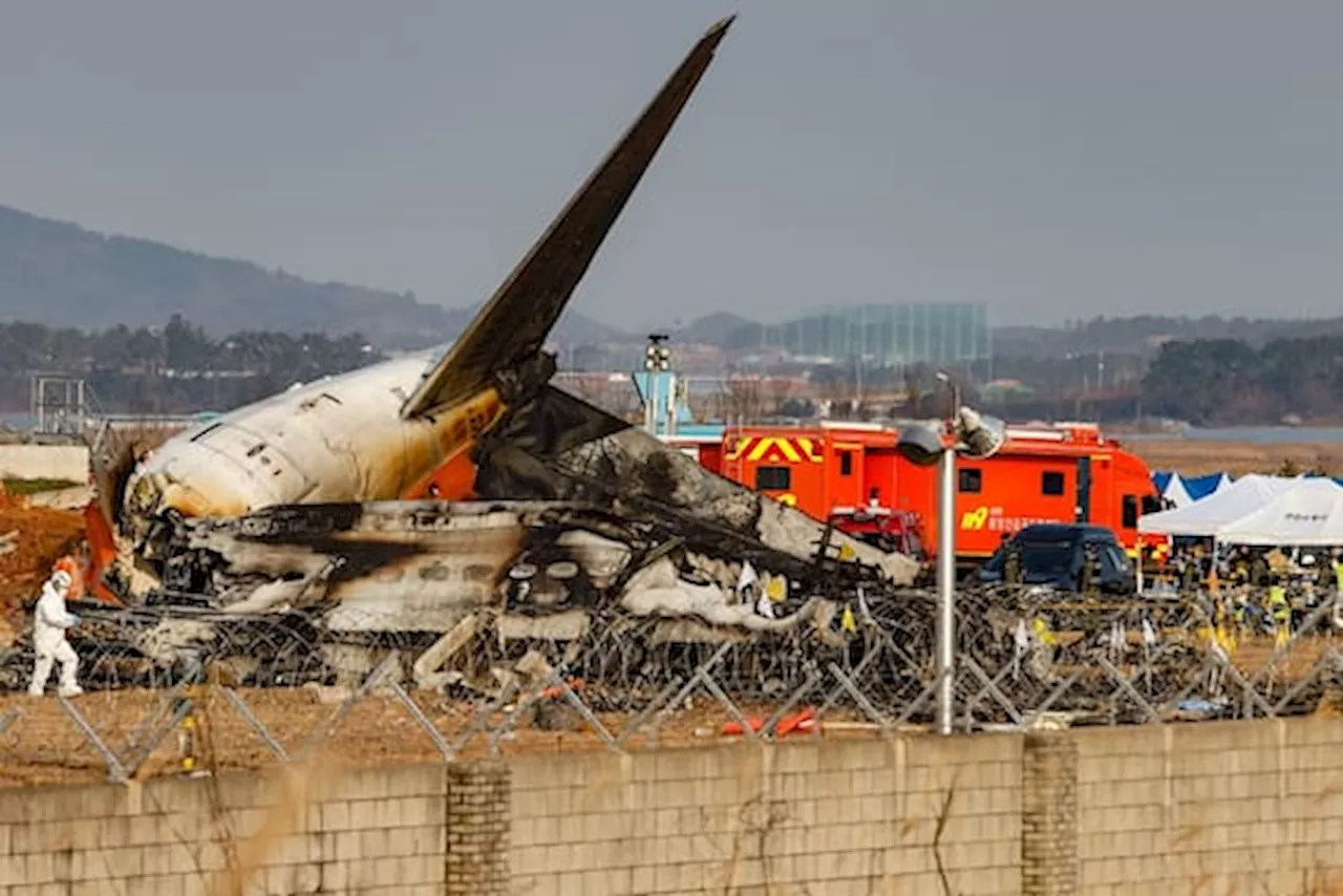 Altri Problemi al Cartello per Jeju Air: Seul Avvia Ispezione su Boeing 737-800