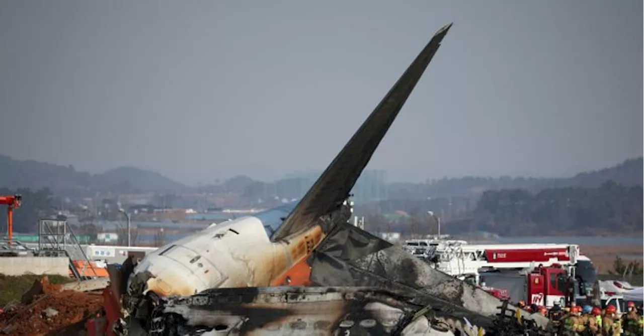 Incidente aereo in Corea del Sud: ispezionati tutti i Boeing 737-800