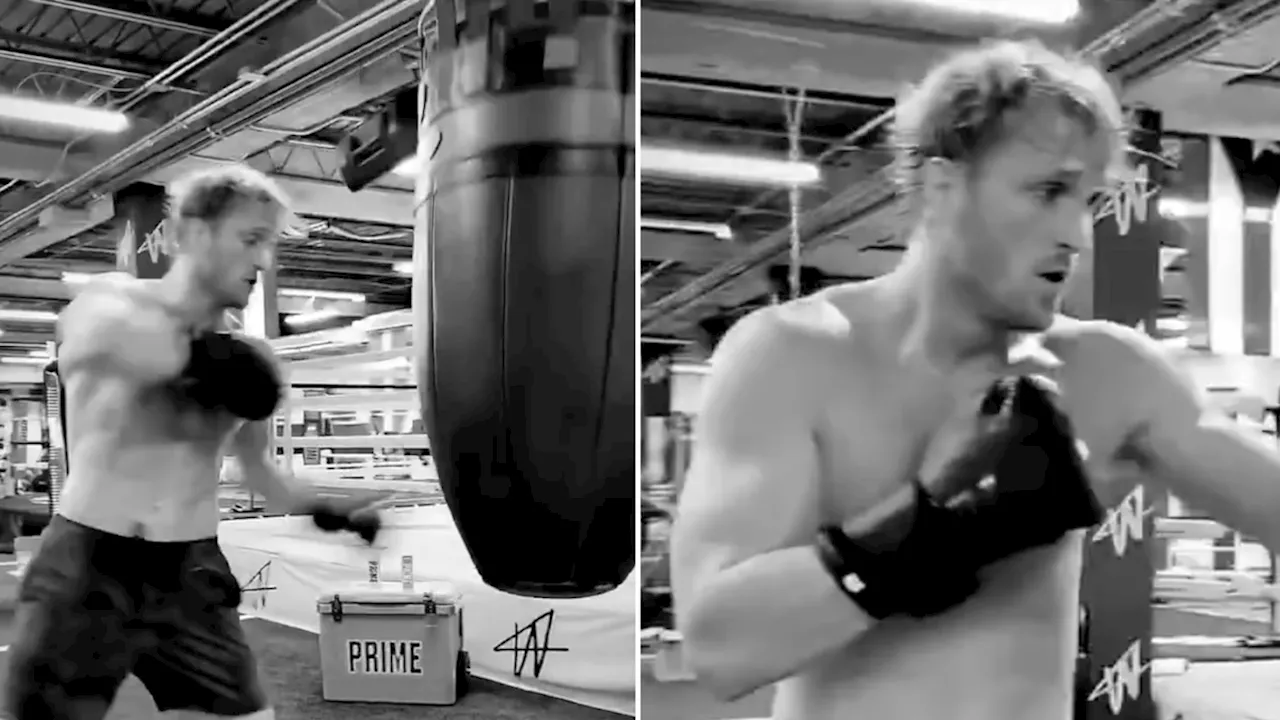 Logan Paul Training Video Sparks Fan Outcry: Is Conor McGregor Fight Already Over?