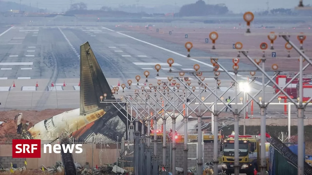 Flugzeugunglück in Südkorea: Vogelschlag und fehlendes Fahrwerk