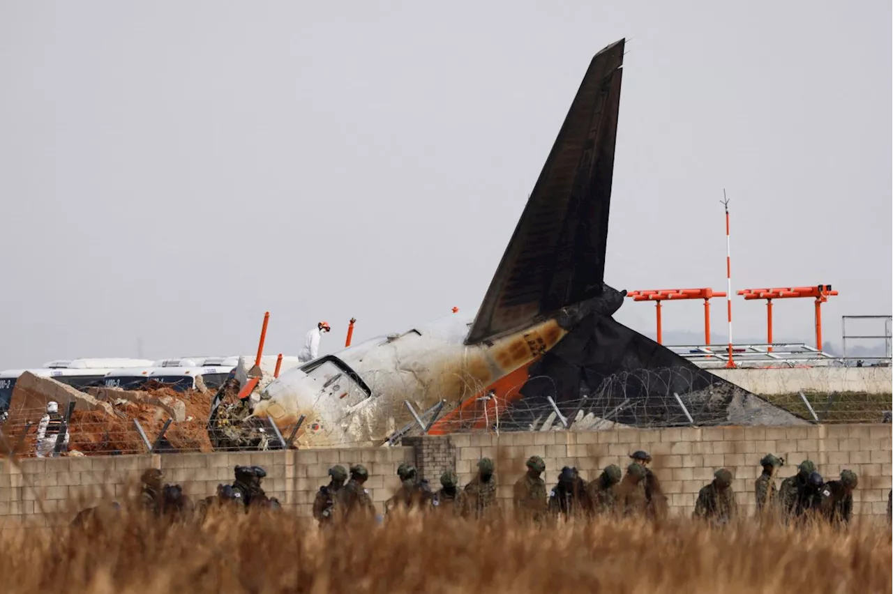 Jeju Air Crash: Airport Wall Construction Under Scrutiny