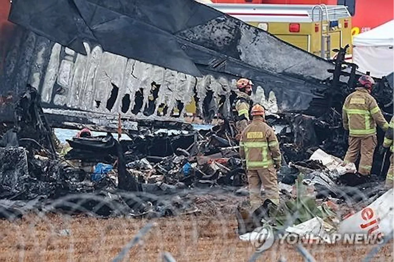 Jeju Air Plane Crash Sparks Concerns Over Flight Schedule and Usage