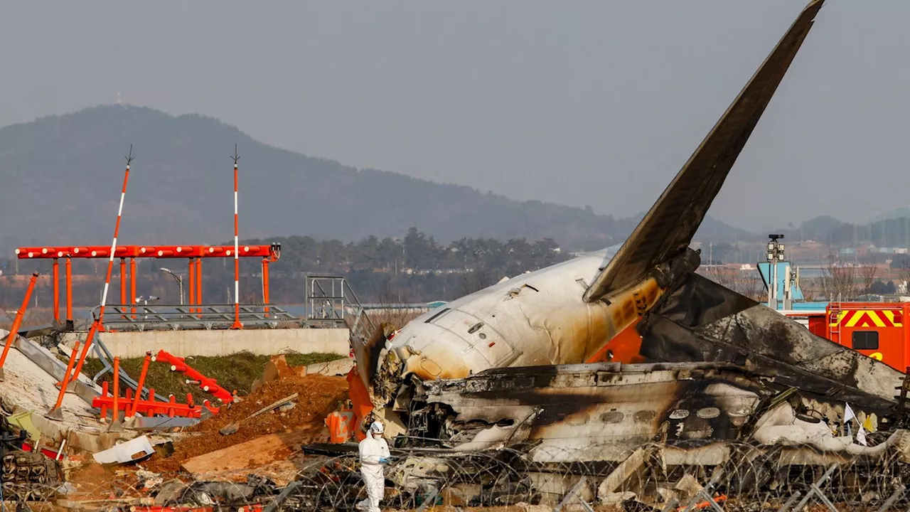 Flugzeugunglück in Südkorea: 179 Tote bei Absturz