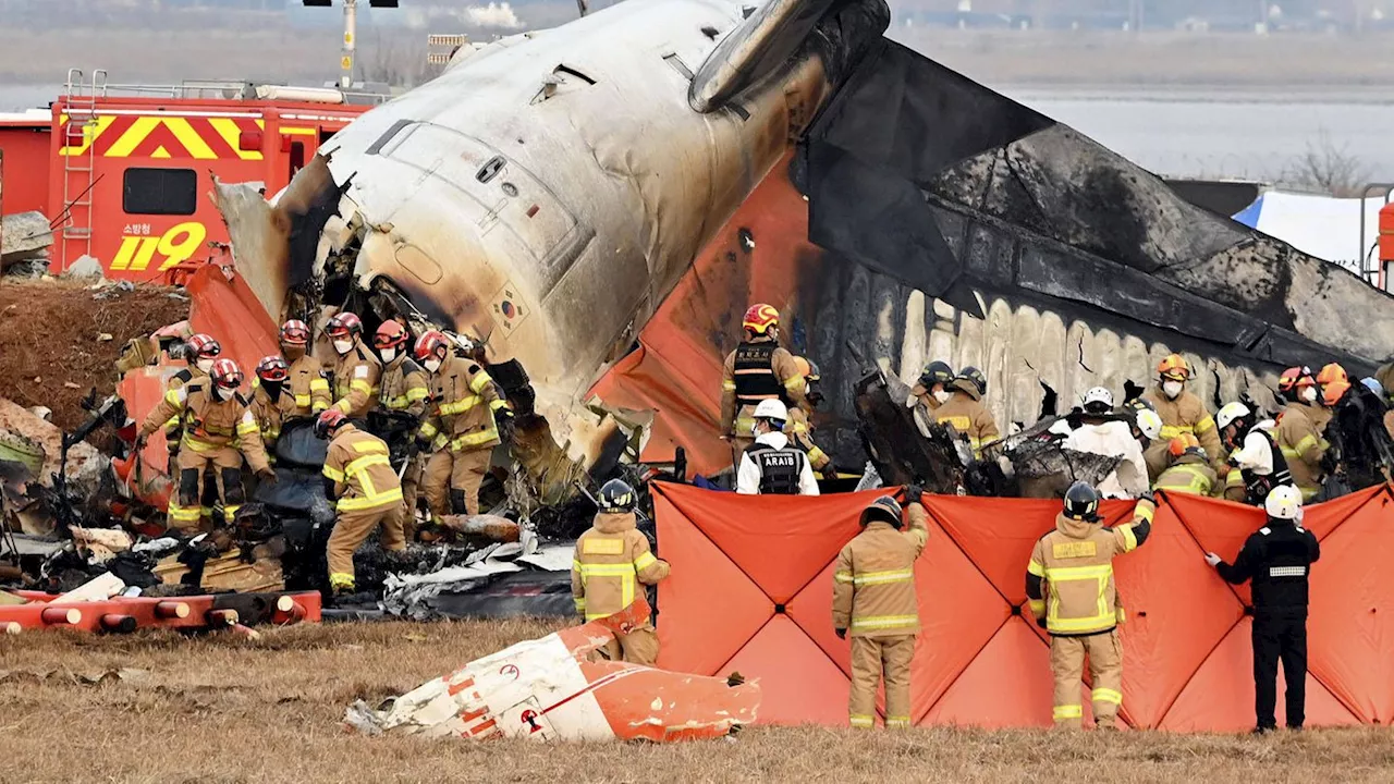 Flugzeugunglück in Südkorea: Warum stand eine Mauer am Ende der Landebahn?