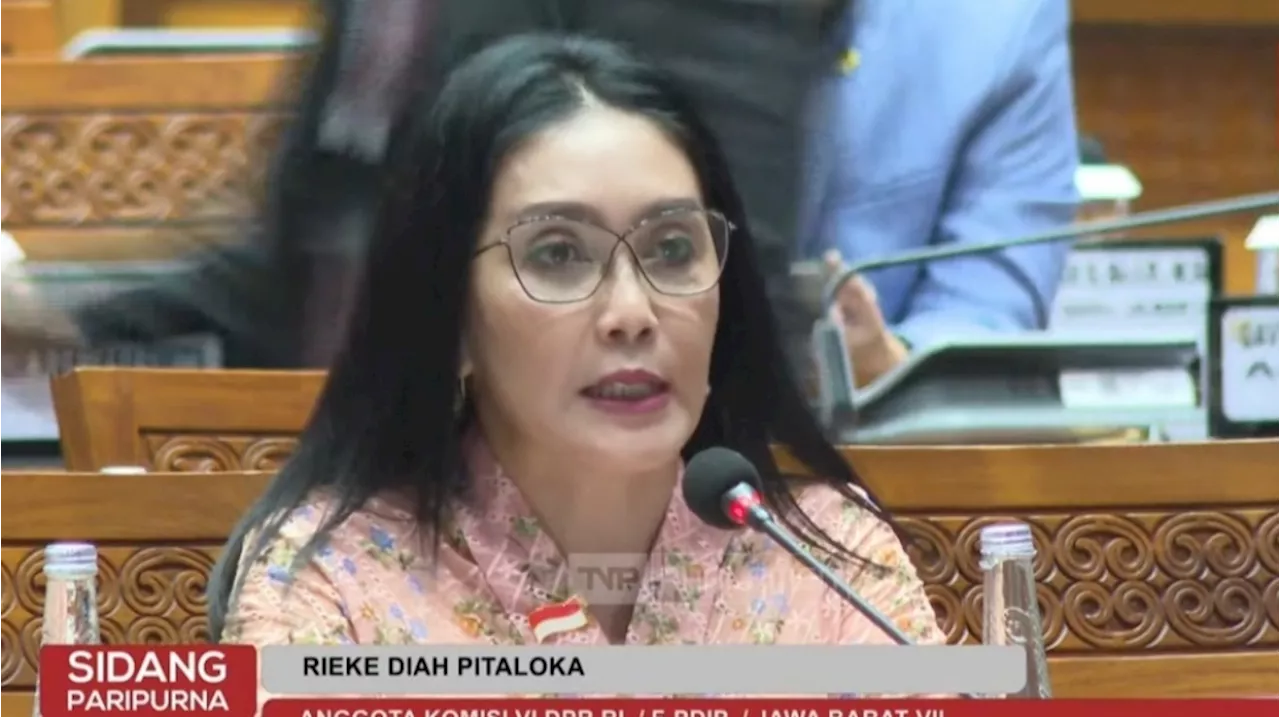 Rieke Diah Pitaloka Mau Minta Maaf ke Sosok yang Adukan Dirinya ke MKD: Saya Tidak Bermaksud