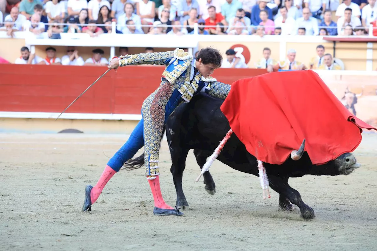 Bayonne 2025 : Roca Rey de retour et la sélection des toros