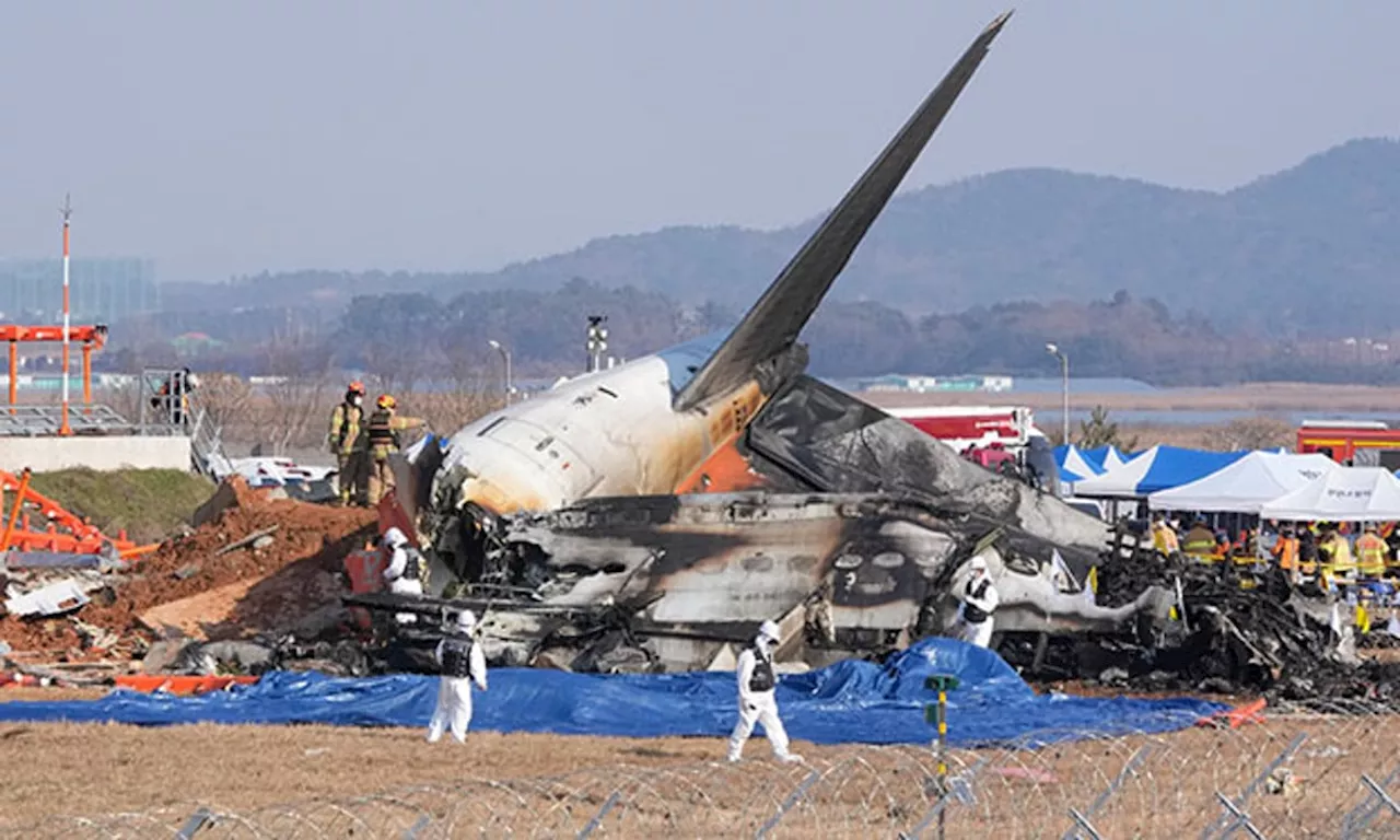 Plane Crash in South Korea Kills 179